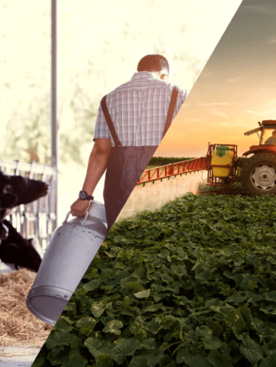 Agricultura e Agropecuária
